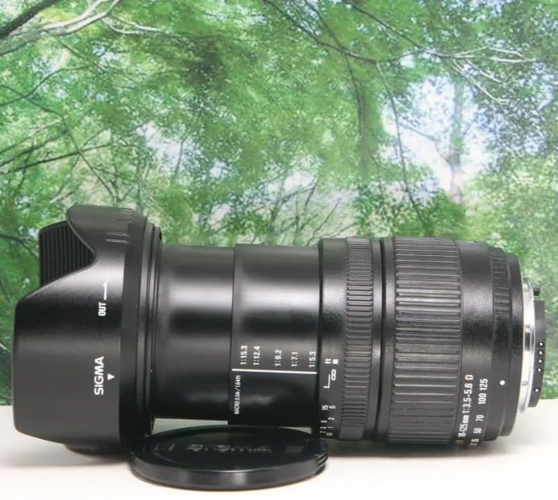 ❤普段使いこれ１本あればラクラク♪ SIGMA 18-125mm Nikon用❤