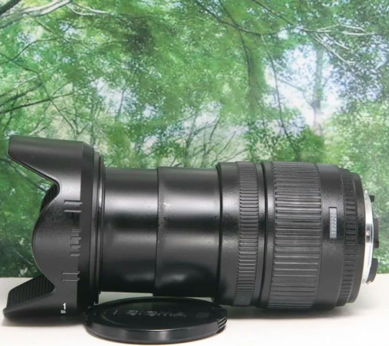 ❤普段使いこれ１本あればラクラク♪ SIGMA 18-125mm Nikon用❤