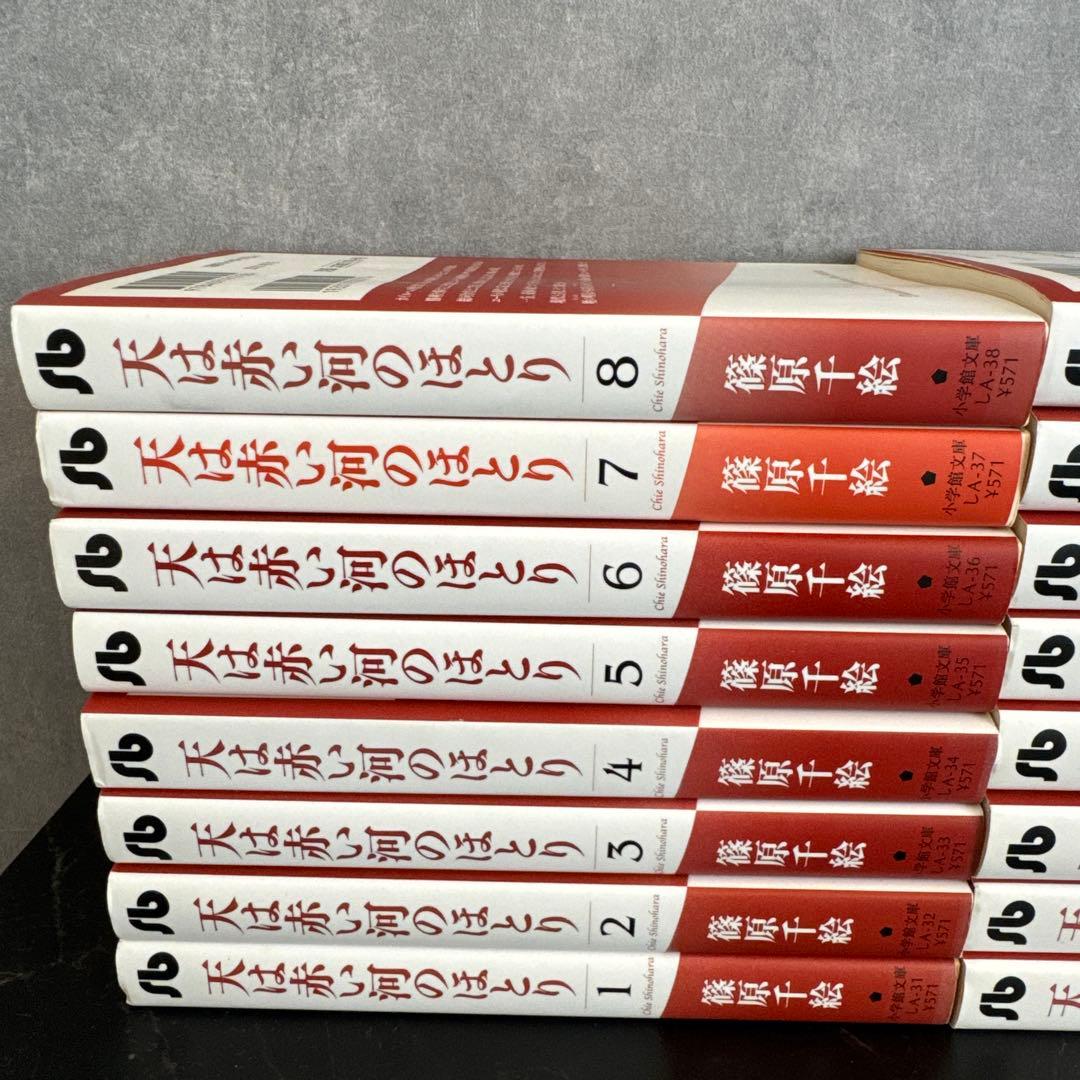 天は赤い河のほとり　文庫　全巻セット