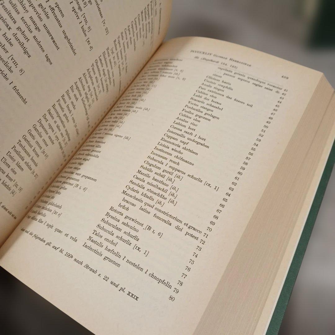 洋書　古高ドイツ語グロッセ（注解・語釈）集