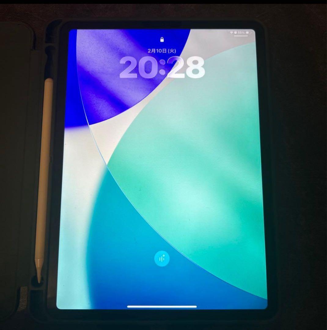 iPad Pro (11インチ) (第2世代) 128gb バッテリー98%