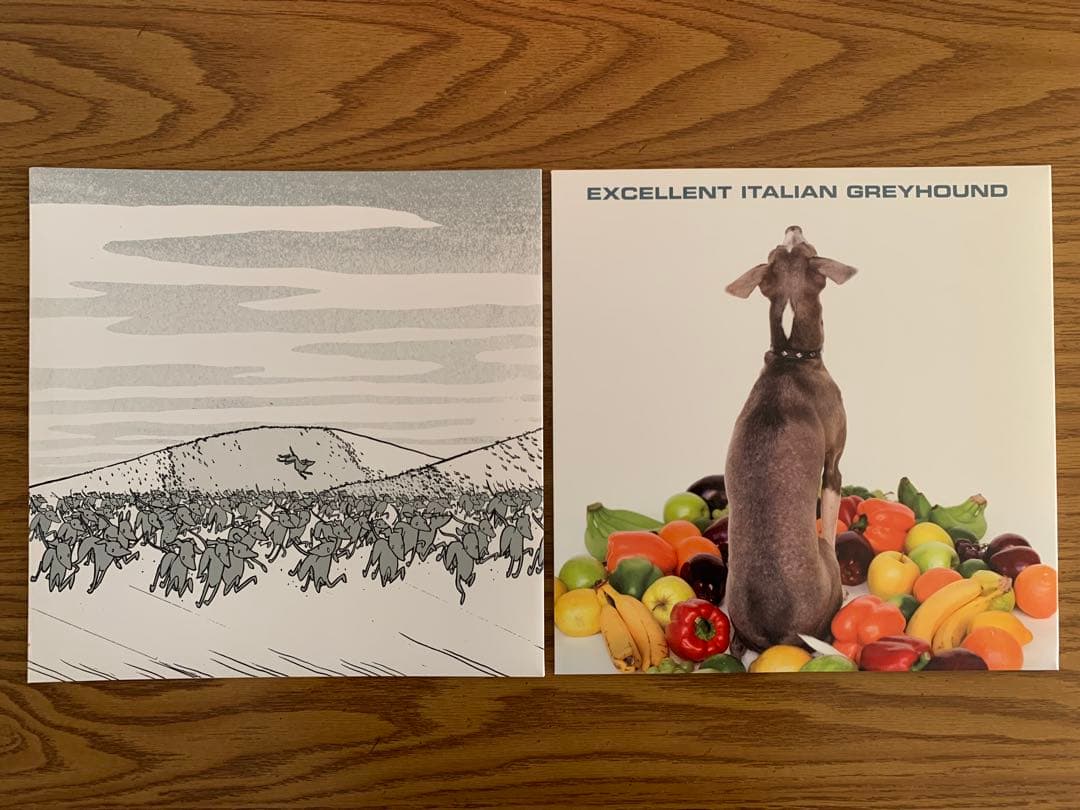 SHELLAC Excellent Italian LP シェラック アルビニ