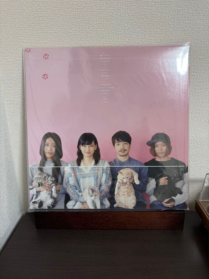 新品　1stプレス　廃盤レコード 3枚セット きのこ帝国　クリアファイル特典付