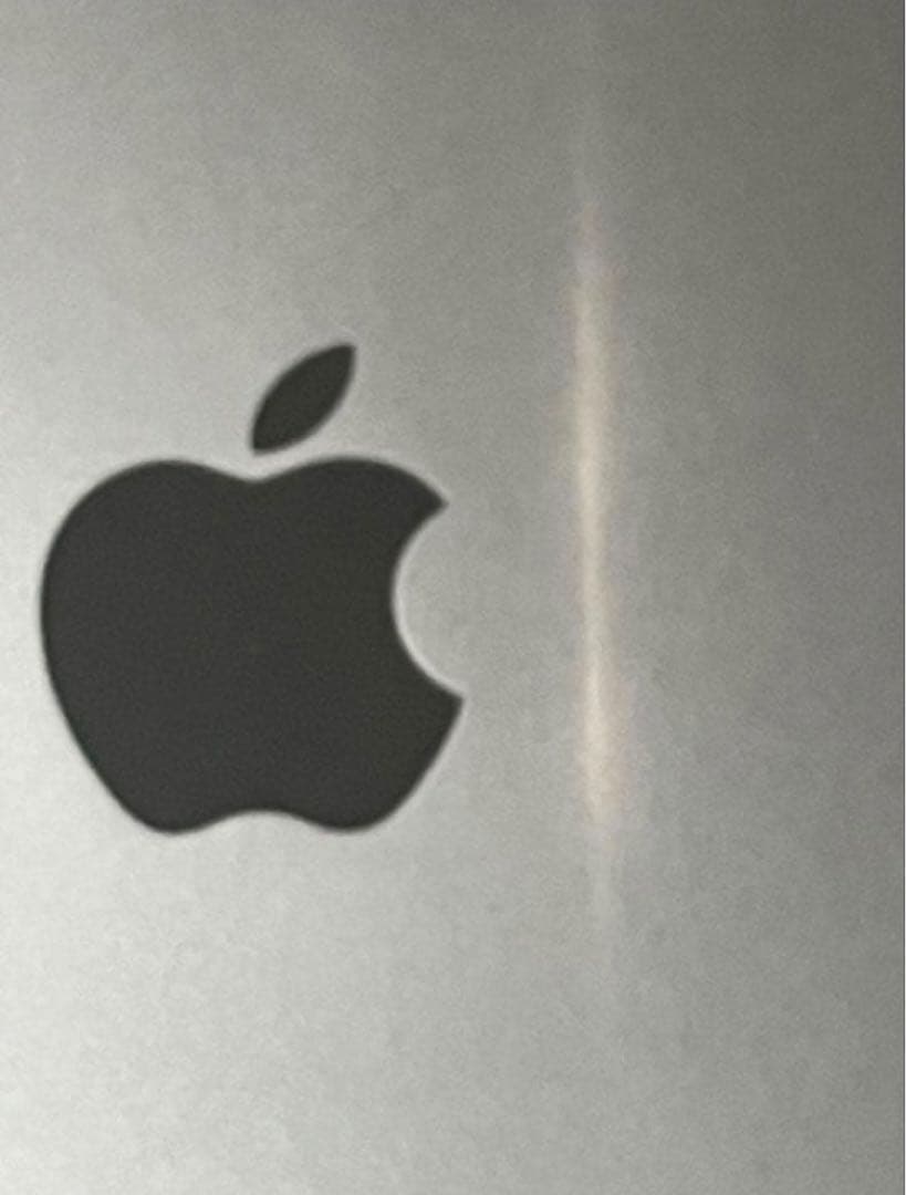 Apple iPad Pro 11インチ 第2世代 ジャンク