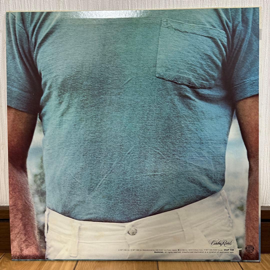 見本盤 Dennis Wilson Pacific Ocean Blue LP