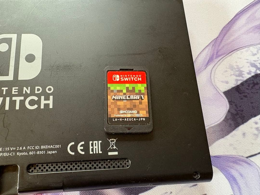 Switch本体　マインクラフトソフト