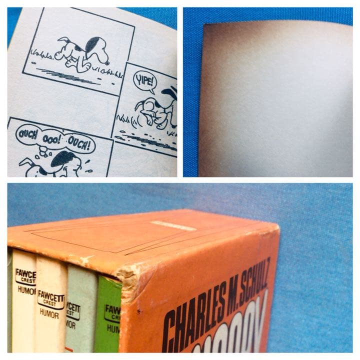 ヴィンテージ PEANUTS ペーパーバック 5冊入りケース