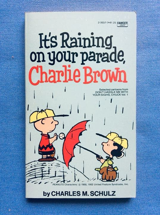 ヴィンテージ PEANUTS ペーパーバック 5冊入りケース