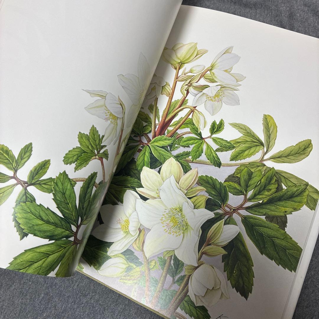BOTANICAL ART KAHO SAWADA 大型本　定価1万2000円