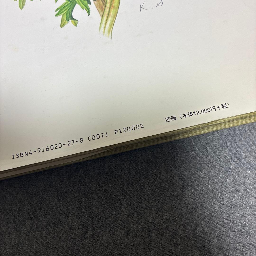 BOTANICAL ART KAHO SAWADA 大型本　定価1万2000円