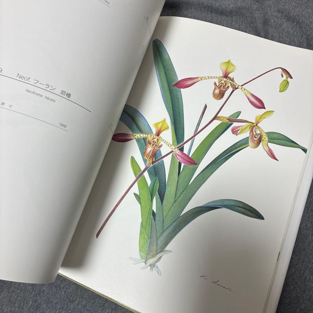 BOTANICAL ART KAHO SAWADA 大型本　定価1万2000円