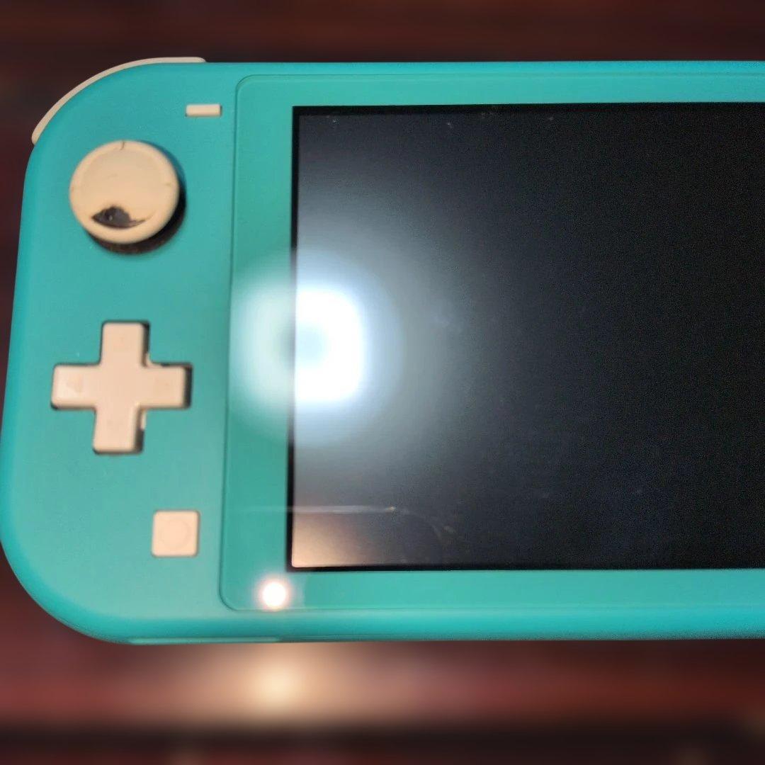 Nintendo Switch Lite ターコイズ 本体 充電器付き