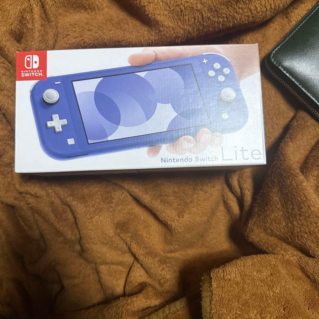 Nintendo Switch Lite ブルー／充電器、ケース付