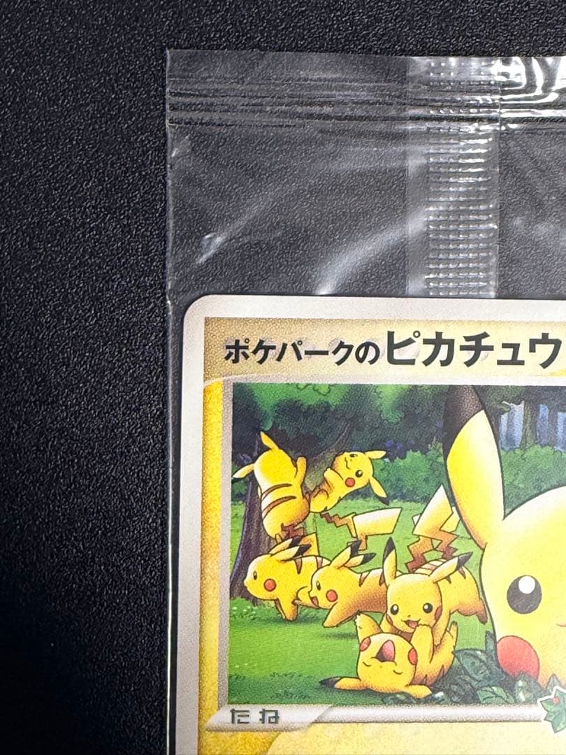 『未開封』ポケパークのピカチュウ　ピカチュウの森（2005年）　ポケモンカード