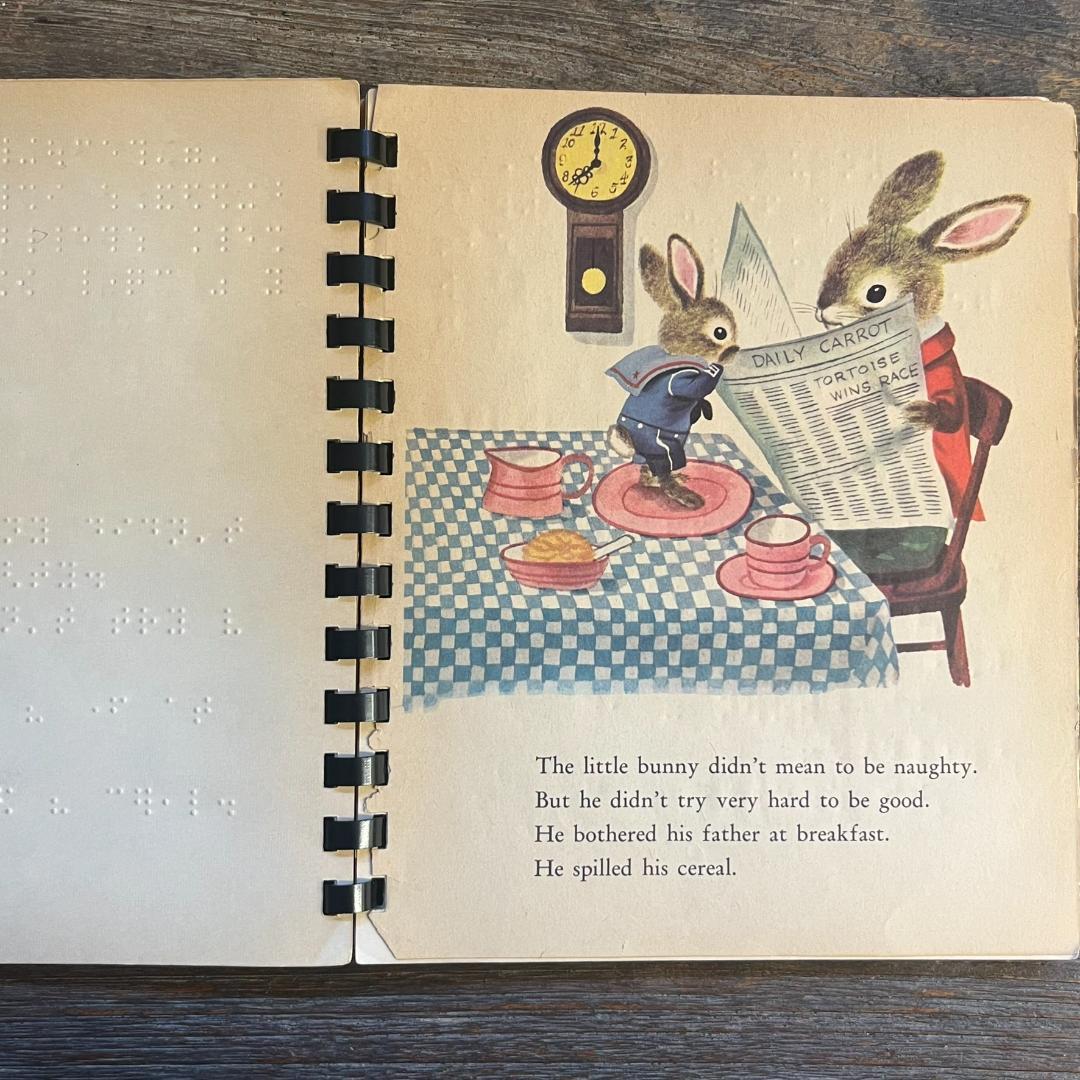 NAUGHTY BUNNY（点字付き絵本）