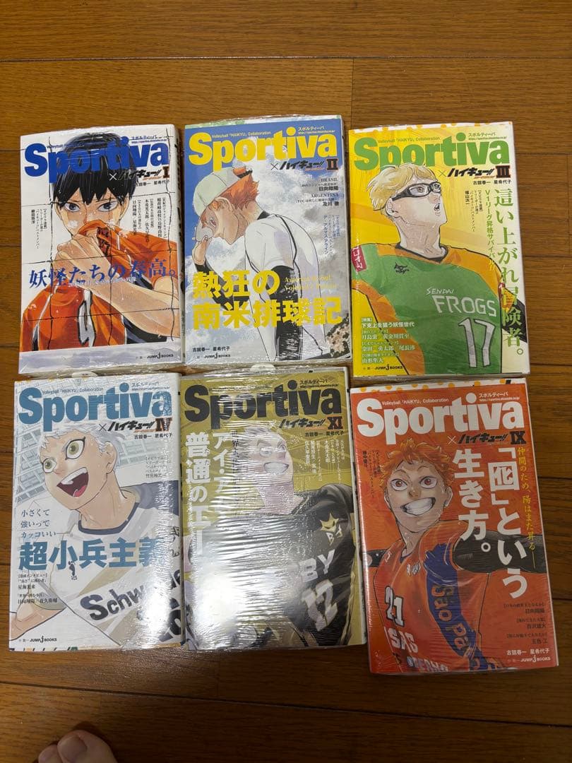 ハイキュー!! ショーセツバン!! Sportiva ビジュアルボード 小説
