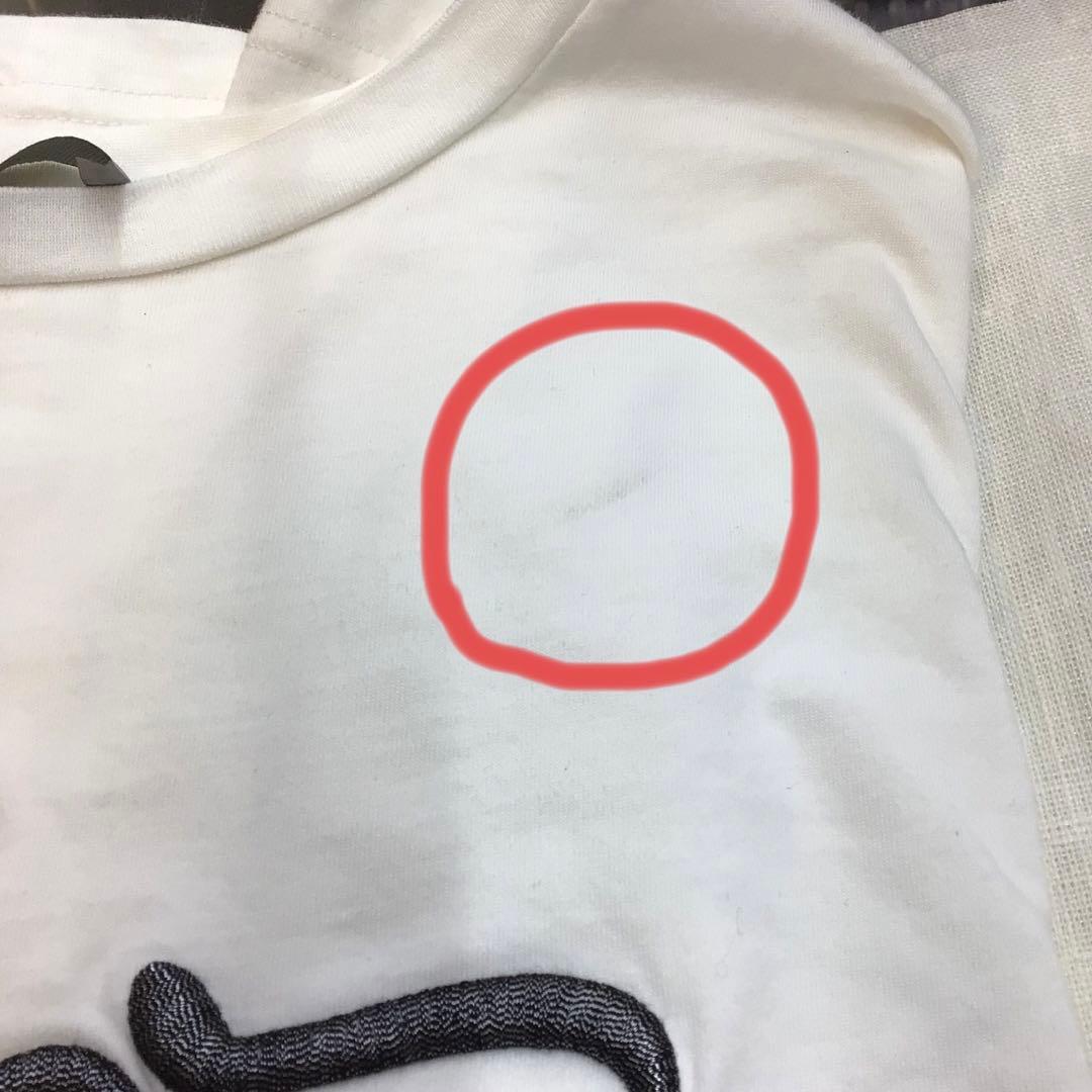 Dior Homme ディオールオム Tシャツ ホワイト Sサイズ USED