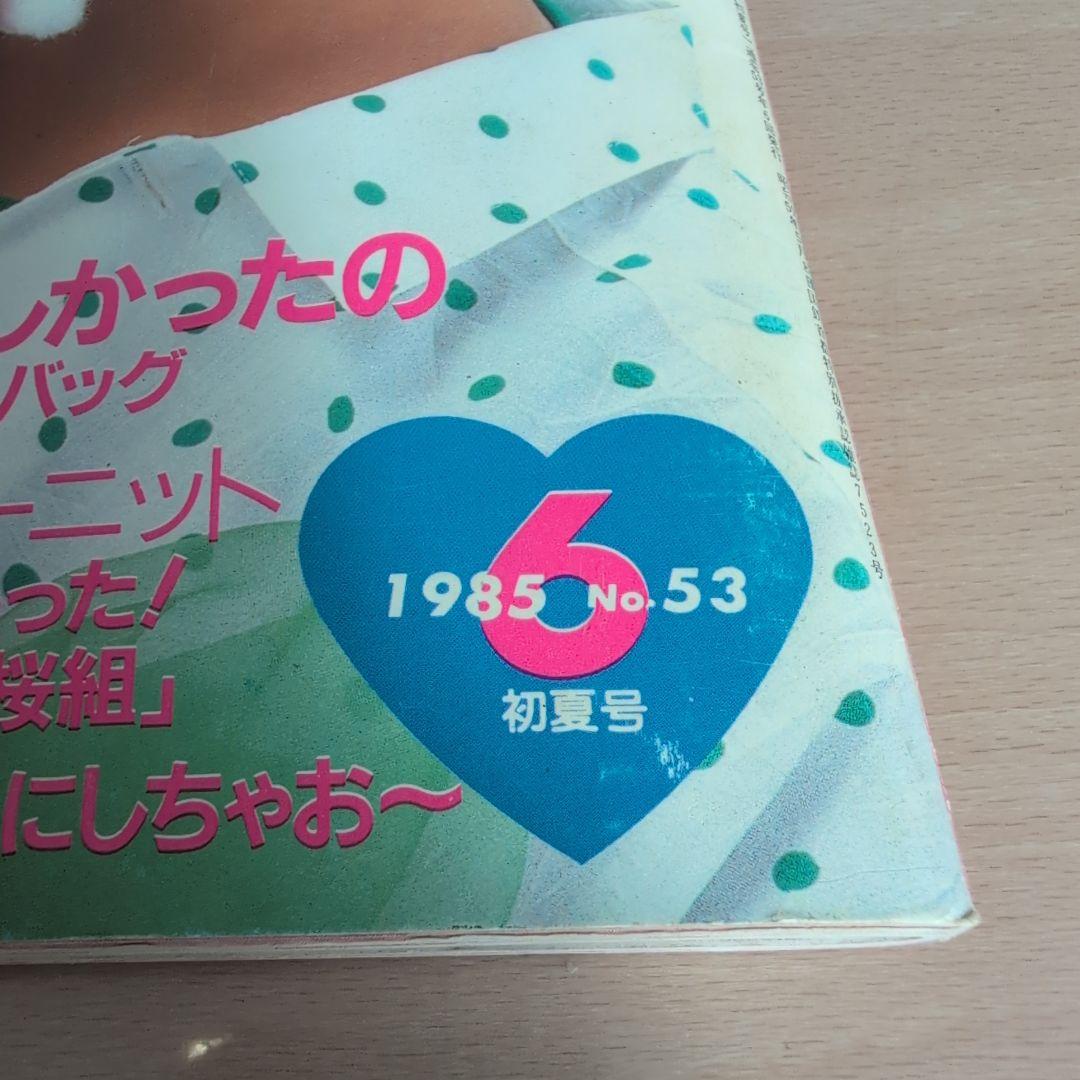 ピチ 1985年53号 手作りアクセサリー特集