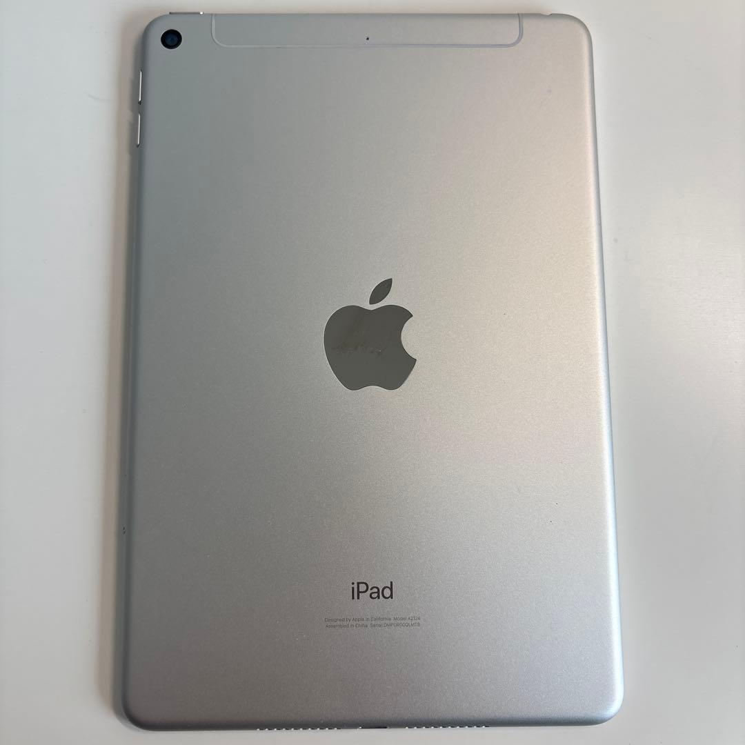 iPad mini5 セルラー 64GB SIMフリー (71)