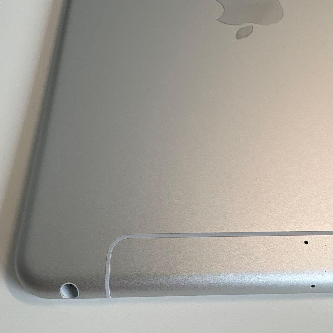iPad mini5 セルラー 64GB SIMフリー (71)