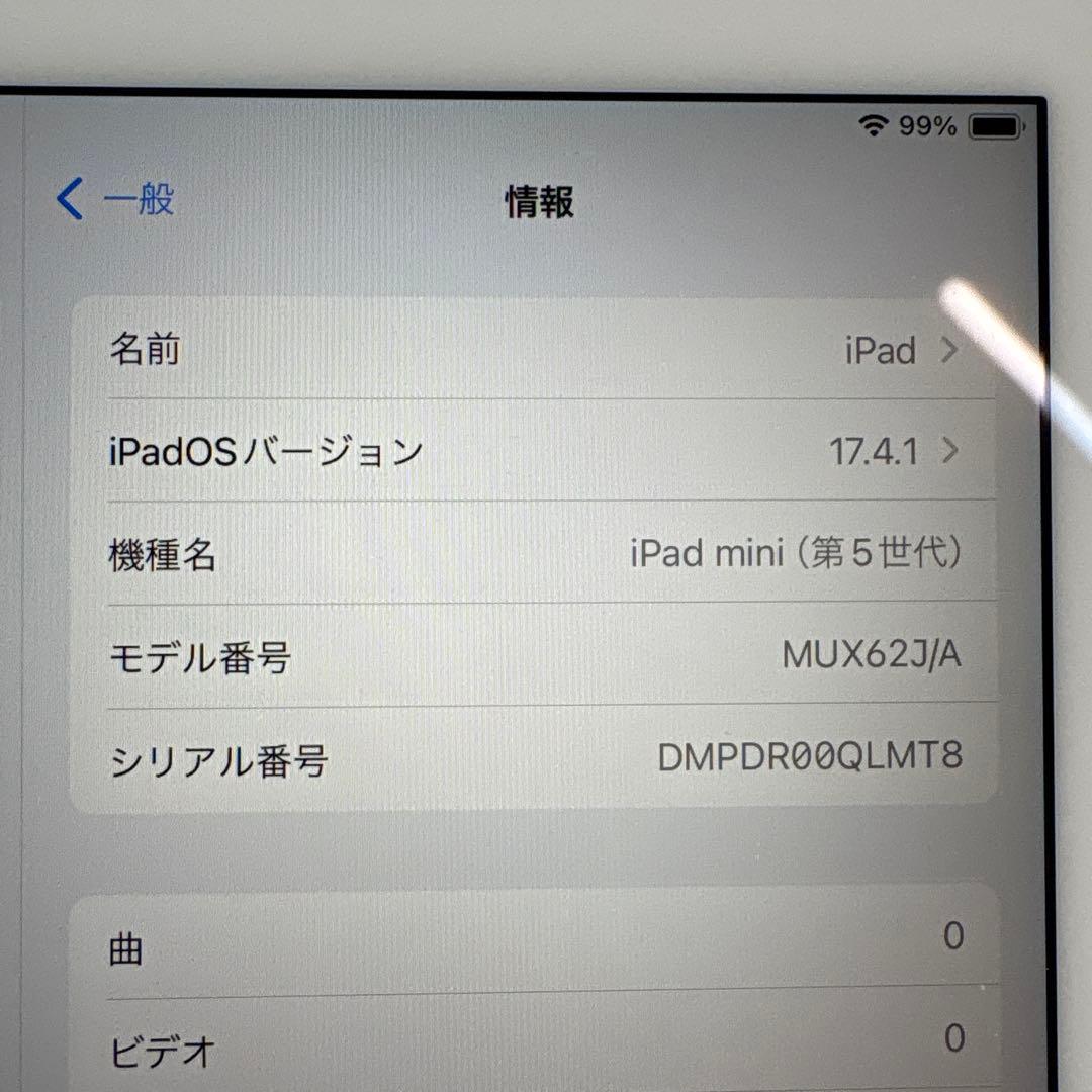 iPad mini5 セルラー 64GB SIMフリー (71)