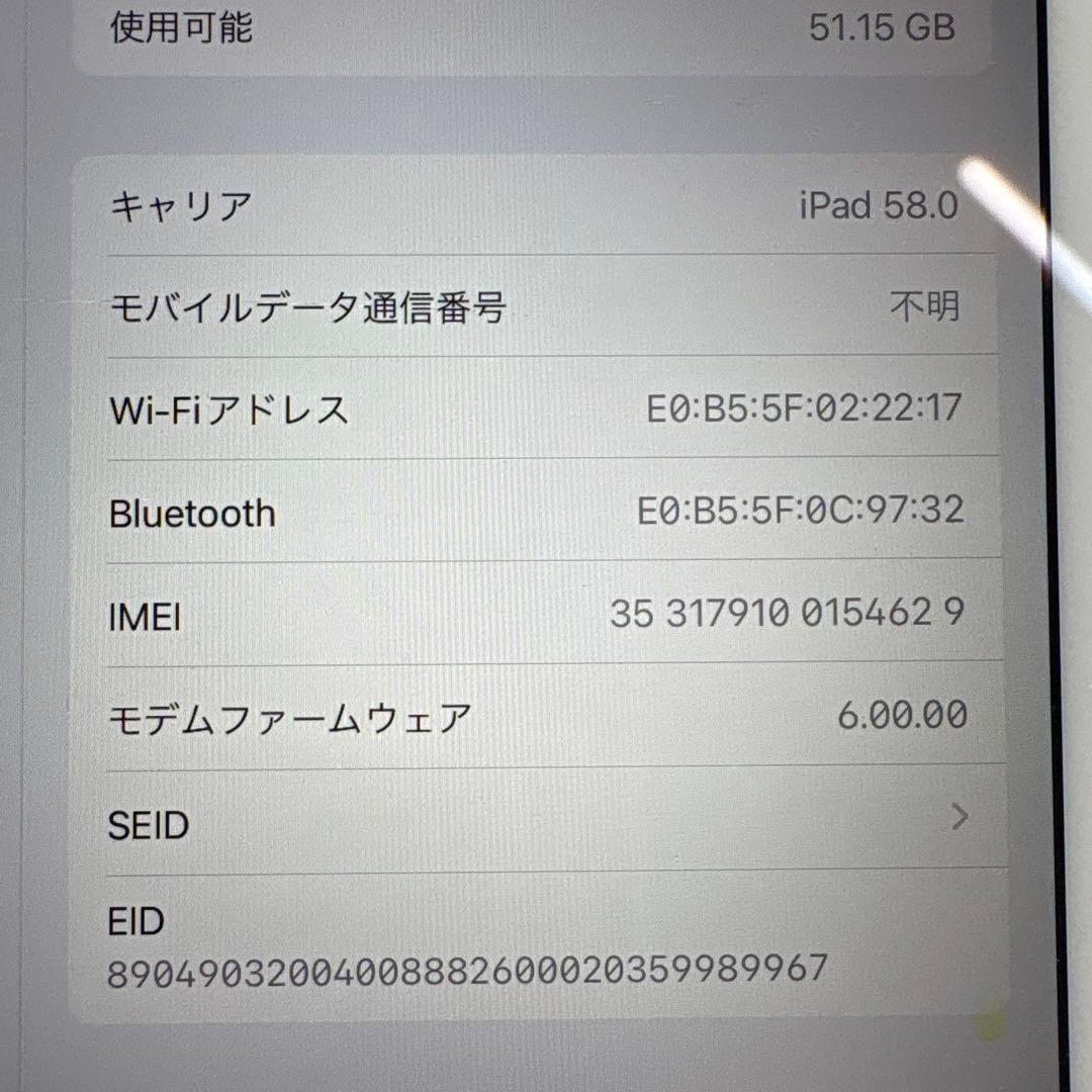 iPad mini5 セルラー 64GB SIMフリー (71)
