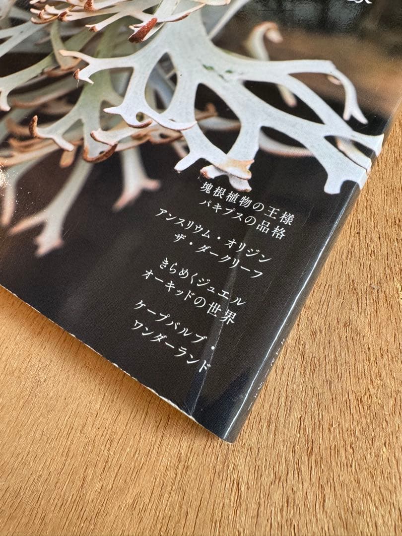 ビバリウムガイド増刊 ＩＮＤＯＯＲ　ＪＵＮＧＬＥ０２ ２０２４年４月号