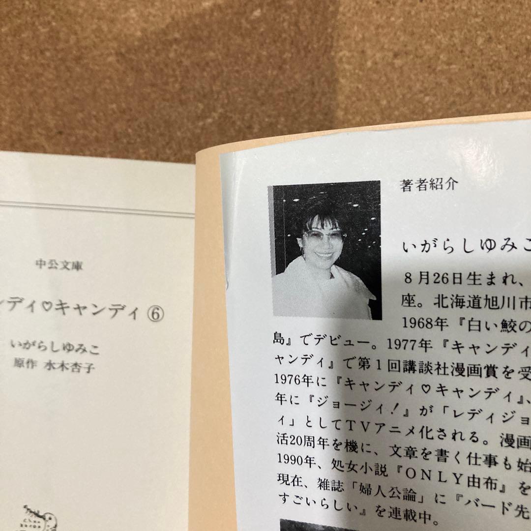 キャンディ♡キャンディ　2巻〜6巻　5冊　いがらしゆみこ　中公文庫