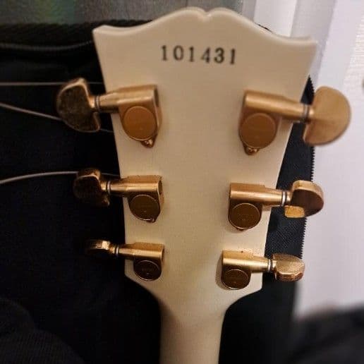 Bacchus　エレキギター　Fenderケース付き