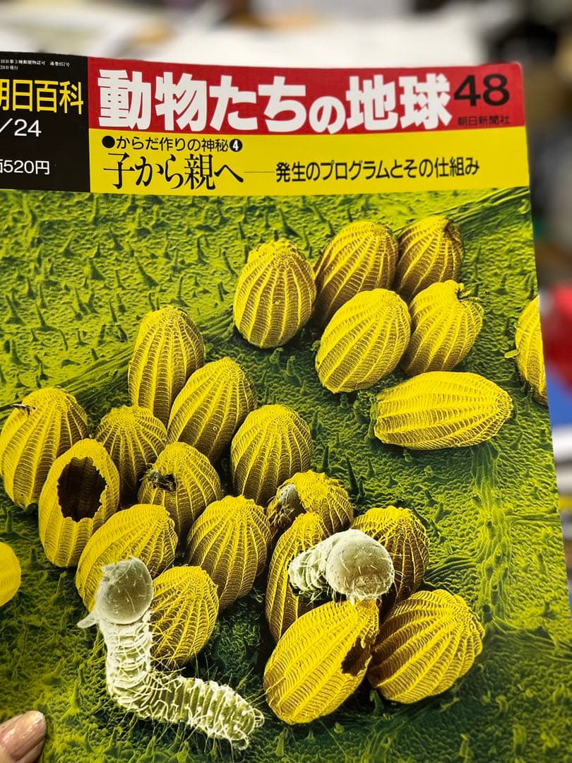 週間朝日百科　動物たちの地球 1〜144