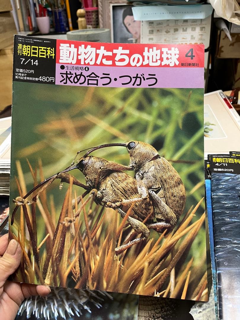 週間朝日百科　動物たちの地球 1〜144