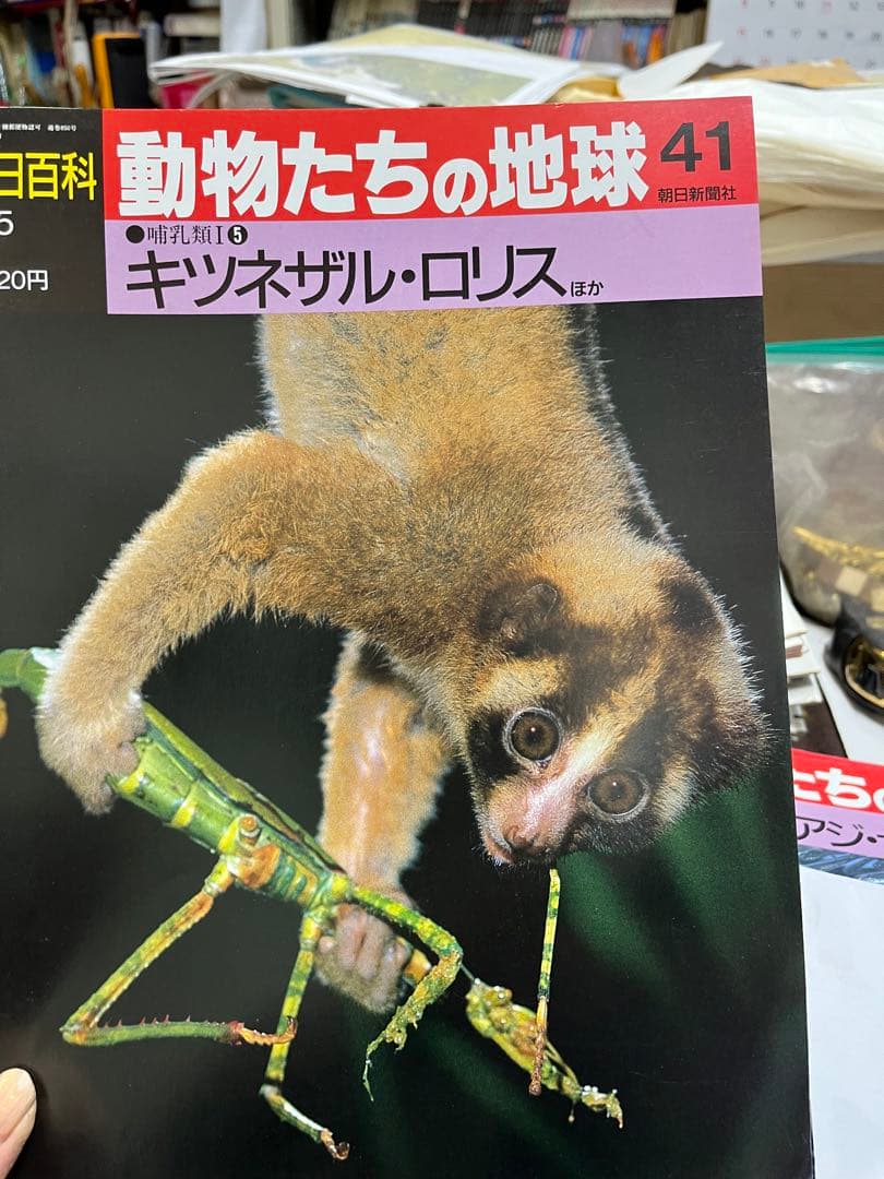 週間朝日百科　動物たちの地球 1〜144