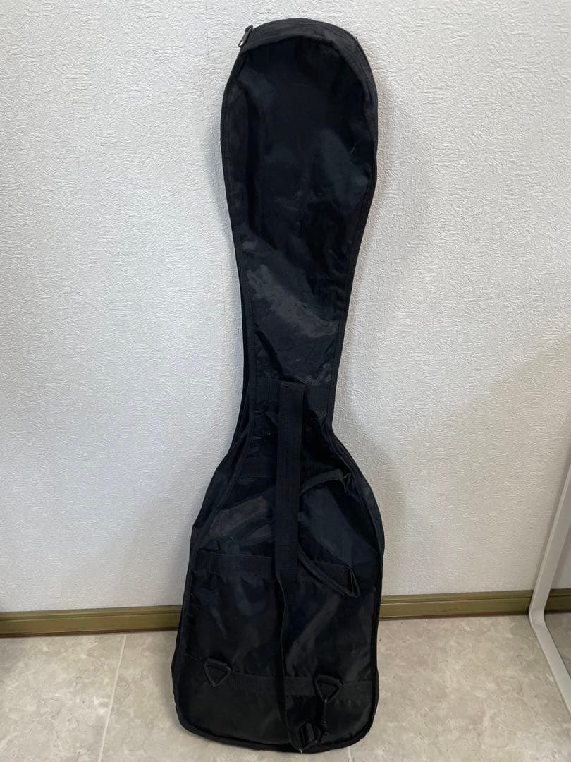 Selder フォトジェニック エレキベース