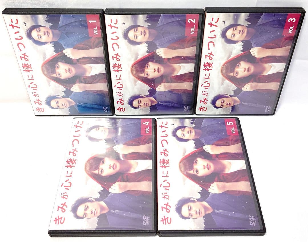 きみが心に棲みついた【DVD】全5巻セット