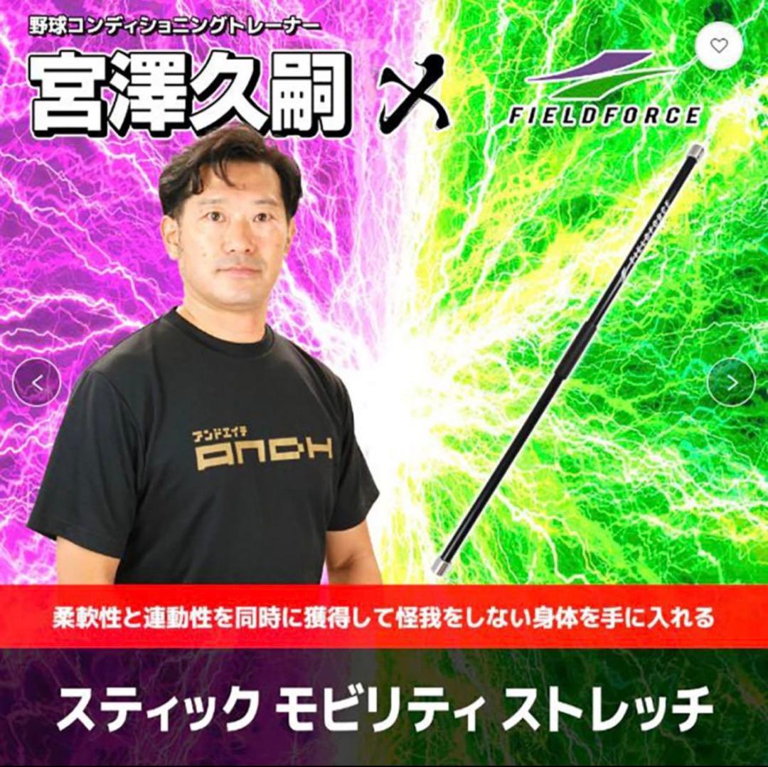 ベースボール パワートレーニング スティック モビリティストレッチ