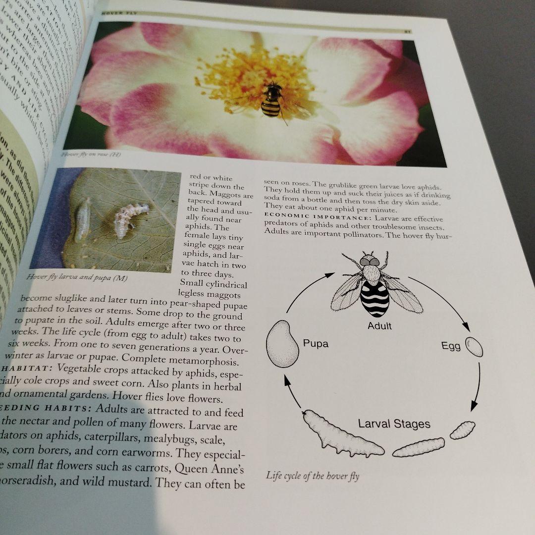 TEXAS BUG BOOK GOOD BAD UGLY 2005年の改訂版