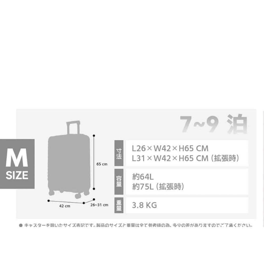 キャリーバッグ 軽量 機内持ち込み ダークグレー Mサイズ 前開き 拡張機能付き