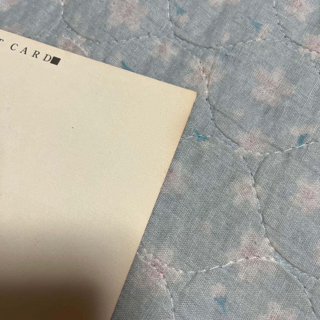 日*9様 CLAMP新聞購読者向け　ポストカード　年賀状　『X』　同人誌　イラス