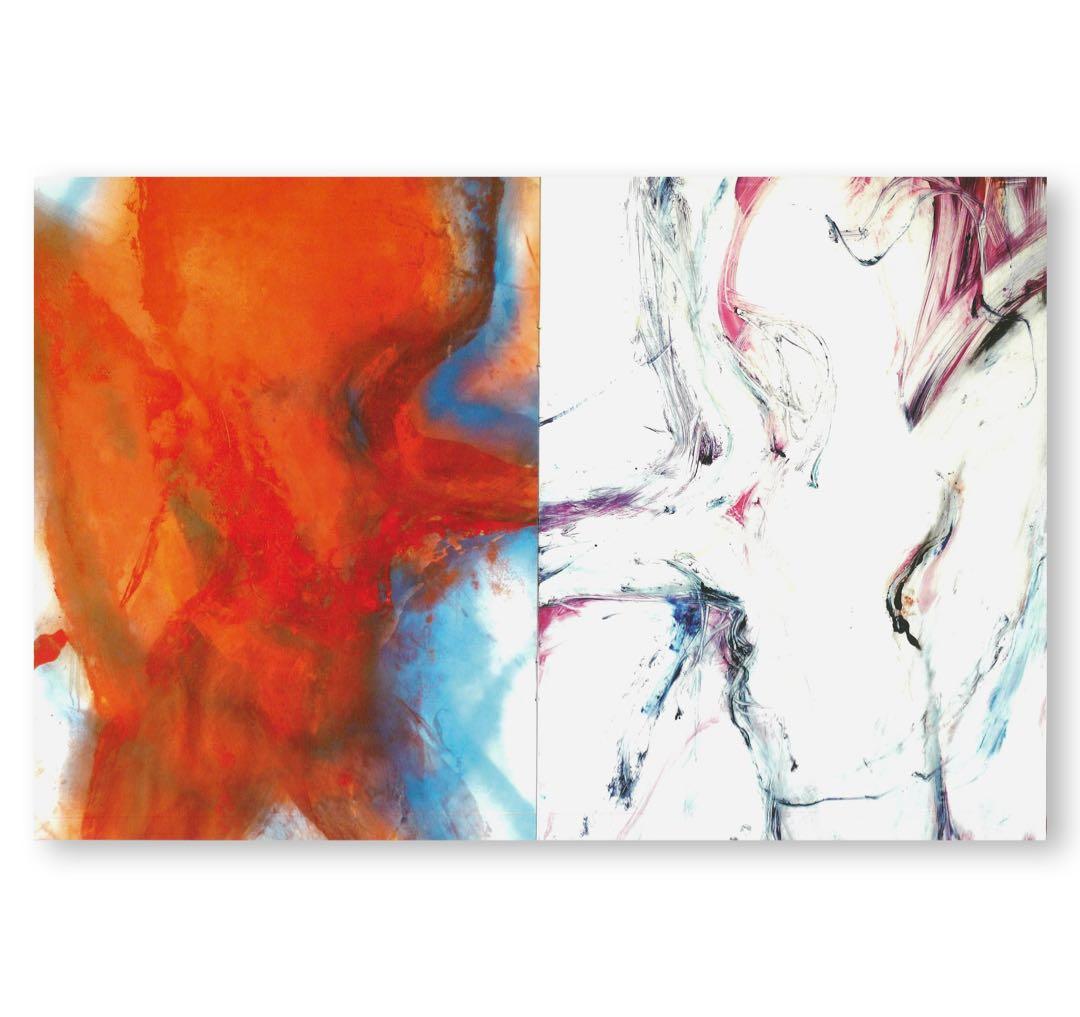 絶版‼️ Rita Ackermann 作品集