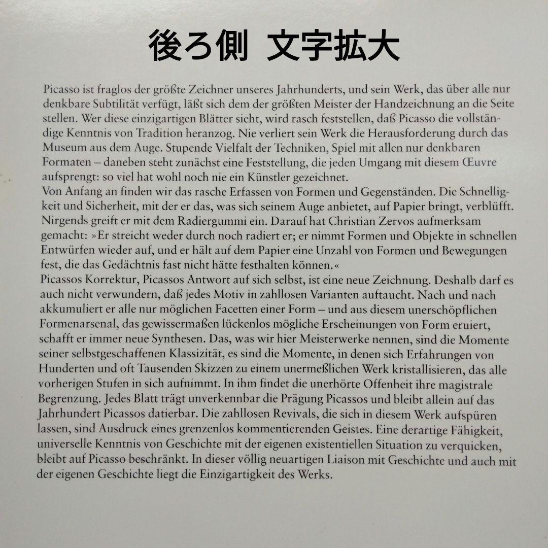 大型本 ピカソ展カタログ（独語) パステル画 鉛筆画 水彩画 デュッセルドルフ