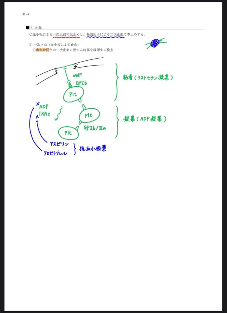 【値下げ可】MEC 基礎医学・臨床医学 テキスト(教師の書き込みPDF付き)