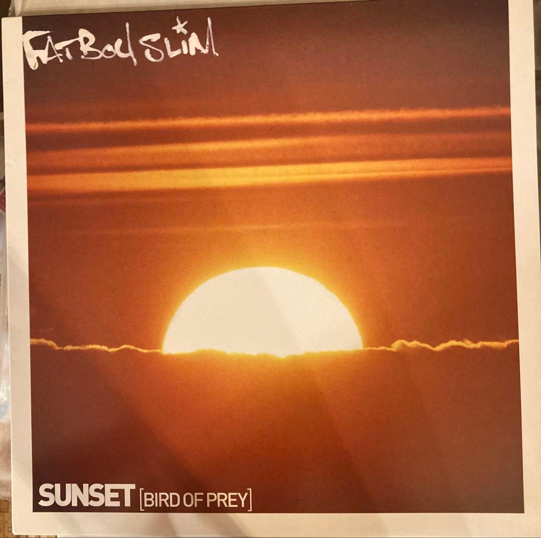 邦楽 Fatboy Slim Sunset (Bird of Prey)