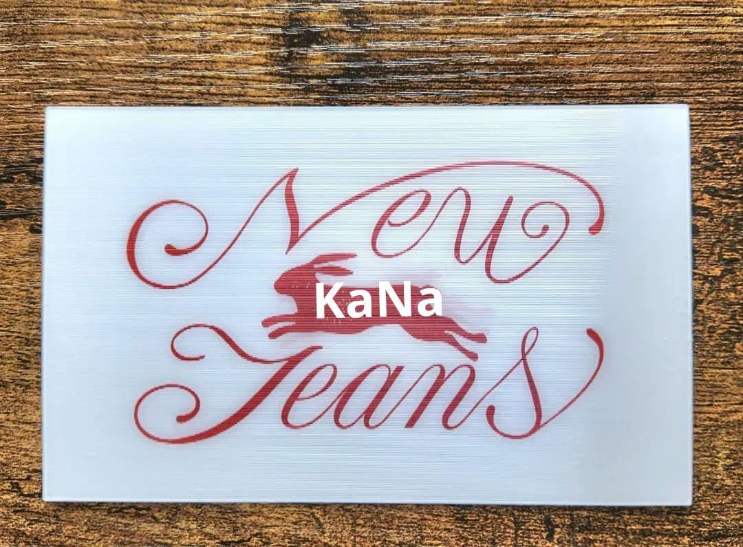 【新品未使用品】公式完売品☆Newjeans NUDAKE コラボ レターポーチ