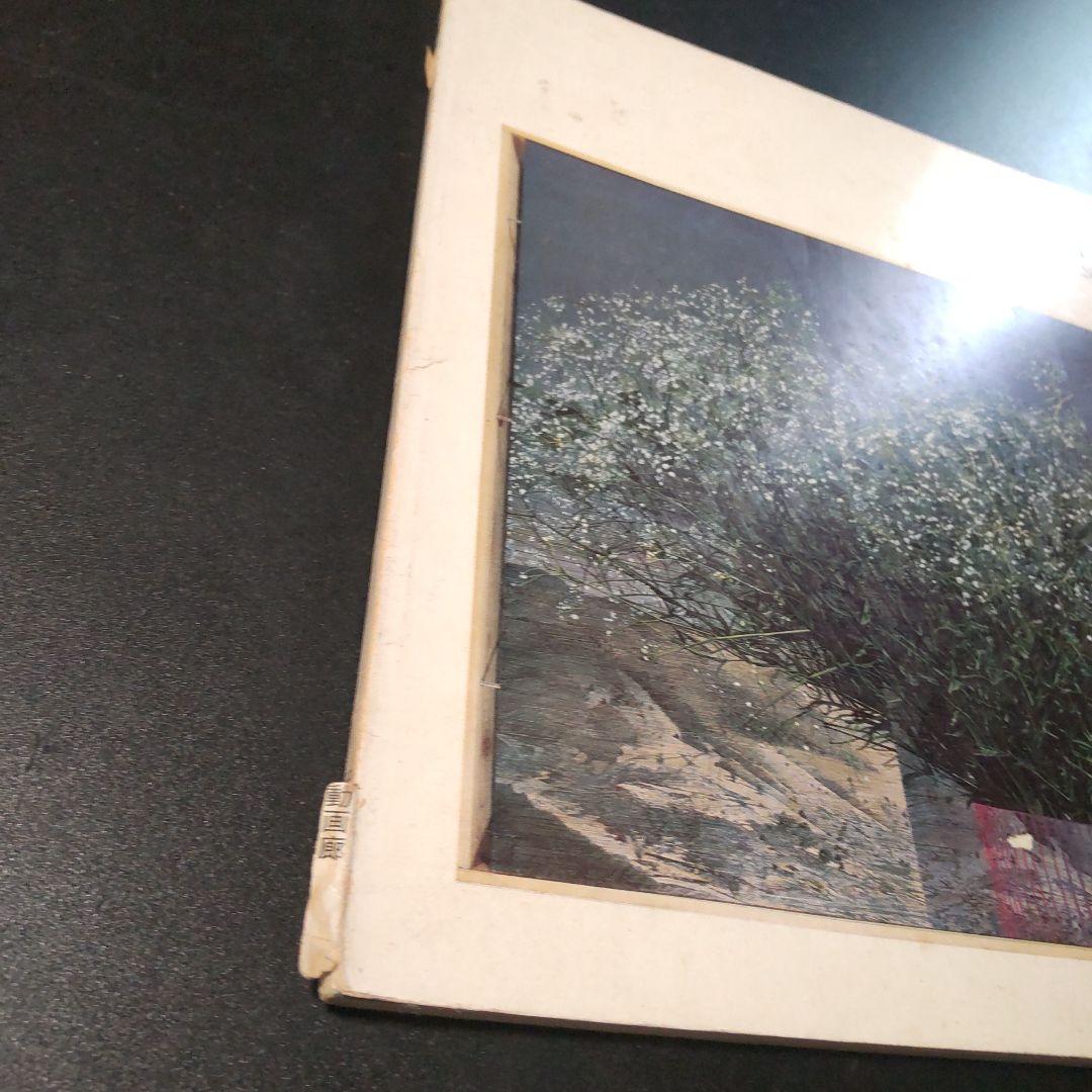 斉藤研展 KEN SAITO 1979 日動サロン