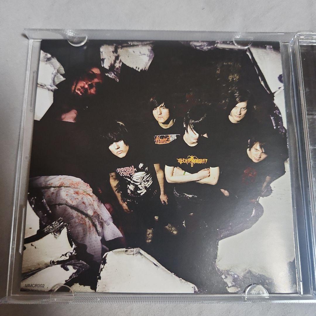 Bring Me The Horizon『This Is What the～ 』