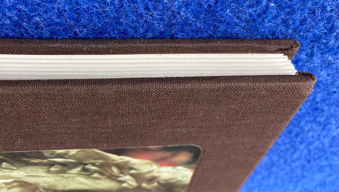 洋書 Kostbare Puppen