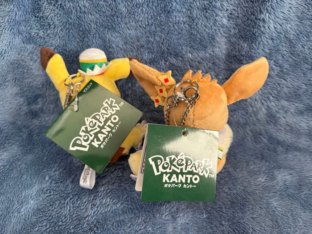 ポケパークカントー ぬいぐるみマスコット ピカチュウ イーブイ カーニバル衣装