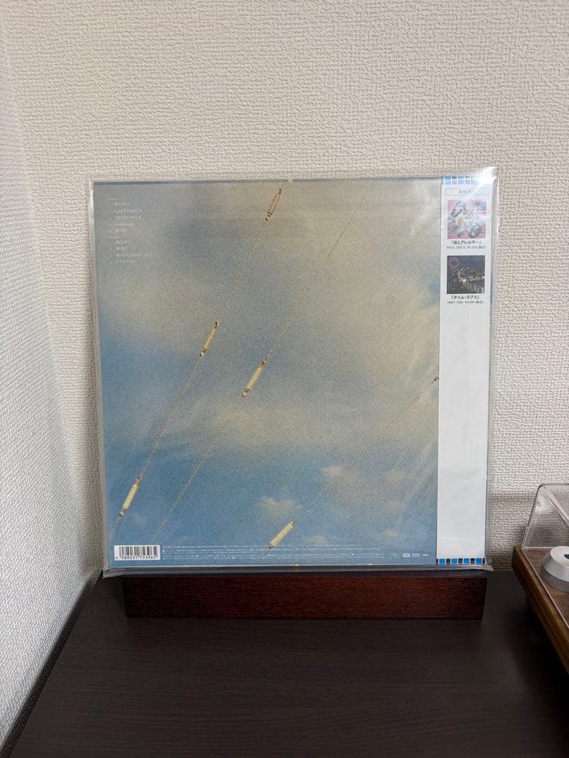 新品 1stプレス きのこ帝国 愛のゆくえ 廃盤レコード LP アナログ