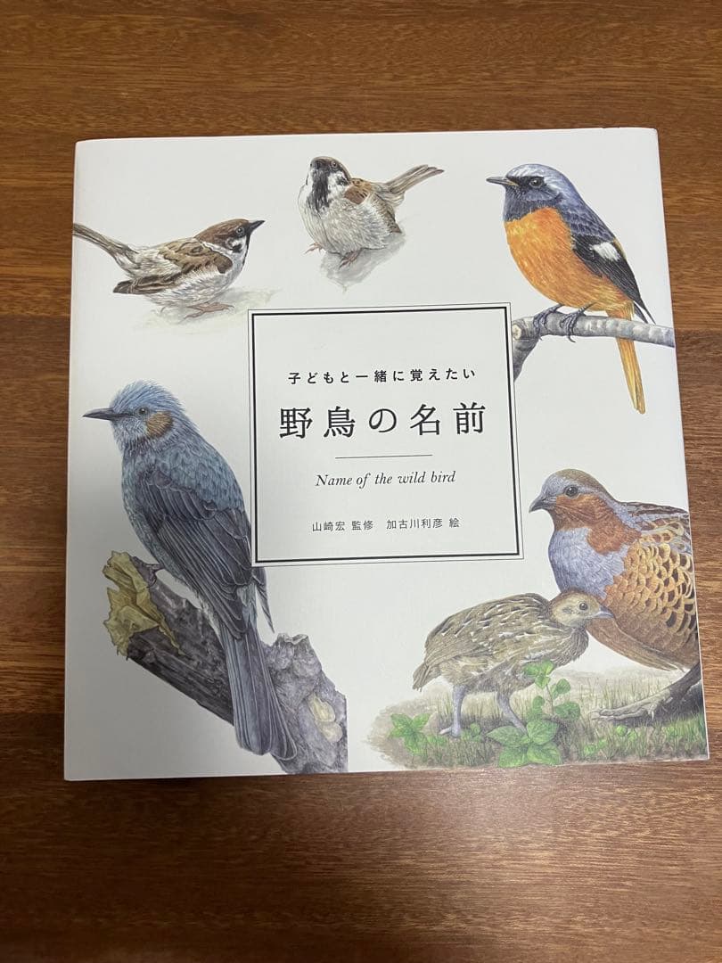 子どもと一緒に覚えたい 野鳥の名前 他 5冊セット バラ売り不可