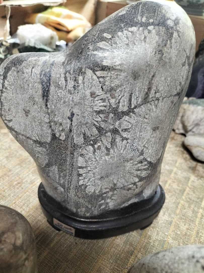 菊花石 花模様の彫刻石 3点セット